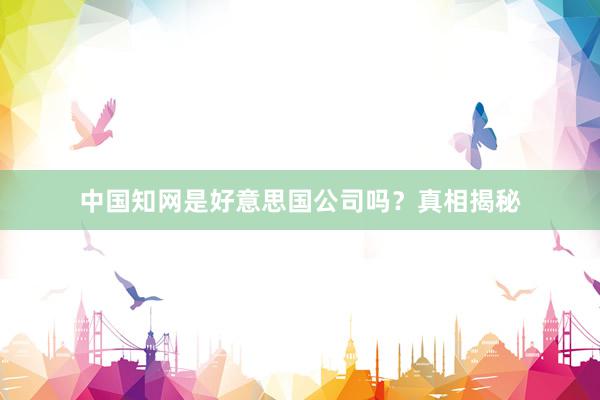 中国知网是好意思国公司吗？真相揭秘